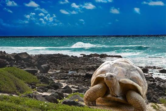 Islas Galápagos